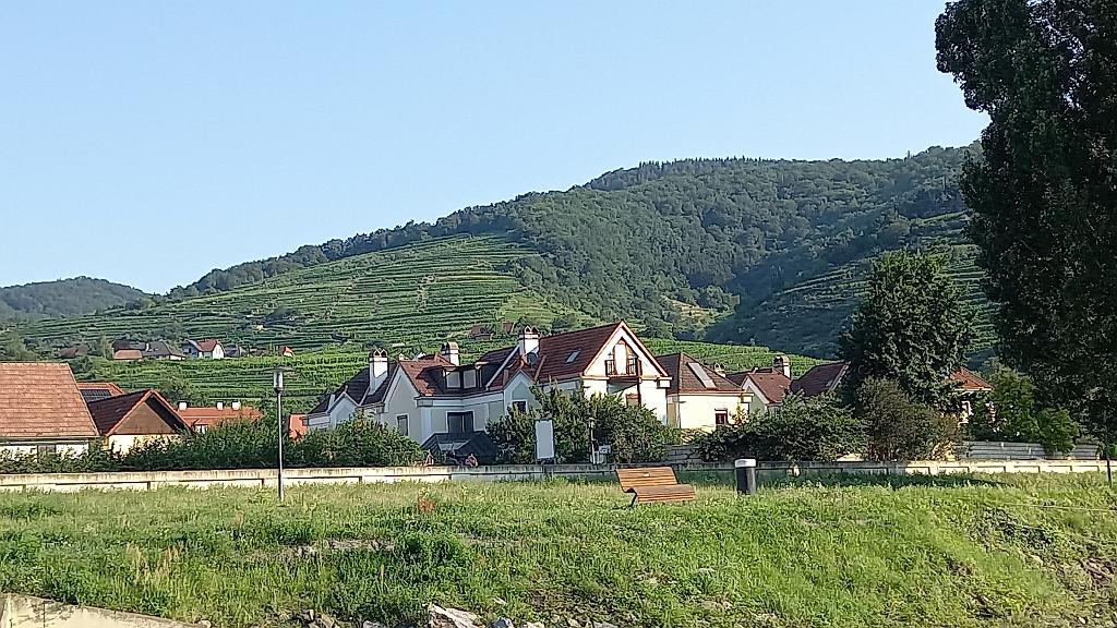 Donau (83)
